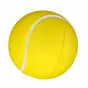 картинка Мяч PU для пляжного тенниса NL-17A (1шт.) 
