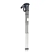 Горнолыжные палки Cober Rental Plus senior 18 mm от магазина Супер Спорт